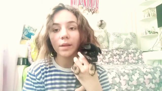 🐶Еду покупать собаку!? 🐶