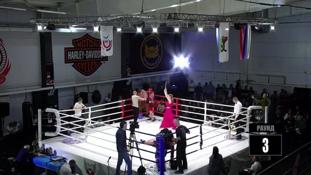 Турнир по боксу посвященный дню сотрудника ОВД смотреть онлайн