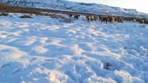 Камчатка Средние Пахачи