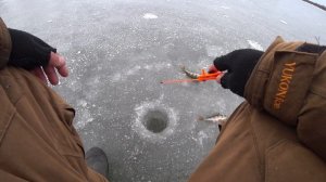 Зимняя рыбалка на ЖЕРЛИЦЫ и БАЛАНСИР 2021-2022 !