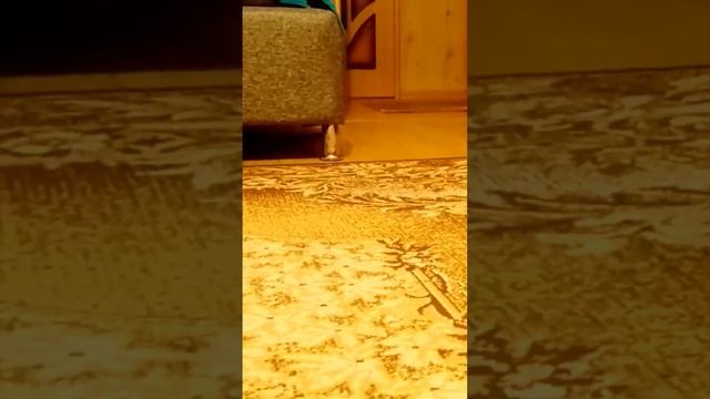 mi robot vacuum mop 2 lite процесс влажной уборки