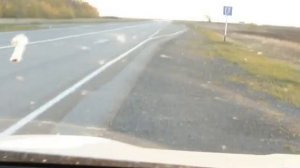 Содержание дорог Челябинской области.