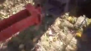 Настройка плуга на тяж  мотоблоке