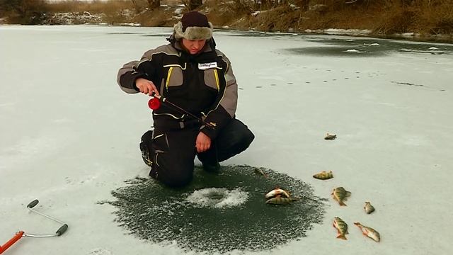 Ловля окуня и щуки на Нижней Волге на балансир Mebaru LJ смотреть онлайн