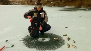 Ловля окуня и щуки на Нижней Волге на балансир Mebaru LJ