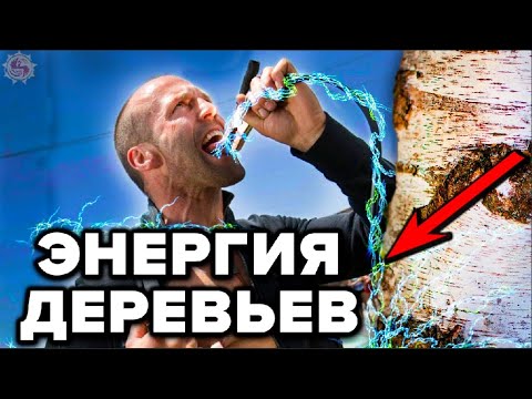 ДЕРЕВЬЯ КОТОРЫЕ ДАЮТ И ВЫКАЧИВАЮТ ЭНЕРГИЮ ? БИОЭНЕРГЕТИКА ДЕРЕВЬЕВ - НАУКА О КОТОРОЙ МОЛЧАТ