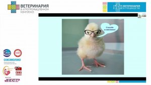 Novikova O.B. Lecture on problems of listeriosis in poultry farms