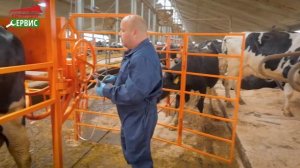 СКМ «Стандарт" - Станок для фиксации и обработки копыт КРС (Инструкция)