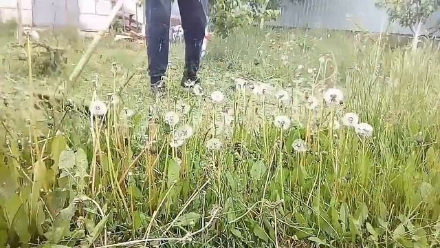 ПОКОС ТРАВЫ ТРИММЕРОМ HUTER GGT-1500T. (Леской) смотреть онлайн