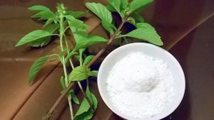 Базиликовая соль