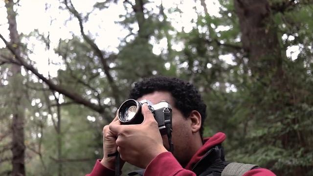 Minolta X300 TEST ROLL  KODAK GOLD 200