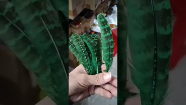 Декоративные перья фазана 10-15 см. 10 шт. Зеленые смотреть онлайн