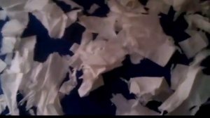 Svinki Family Blog:Мы ветеринарной клинике!Что случилось?Блохи???