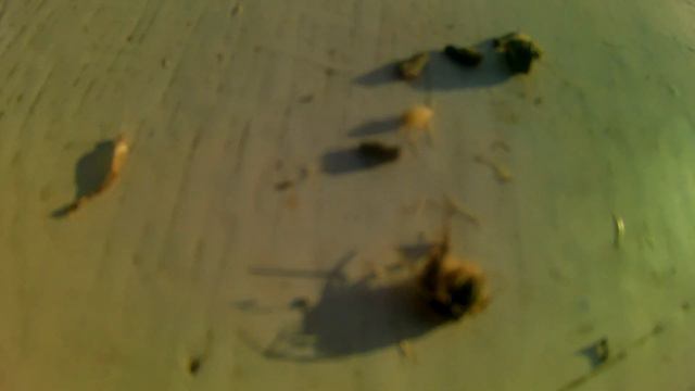 набрать репейника на зиму смотреть онлайн