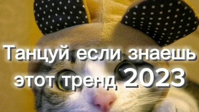 ??Танцуй если знаешь этот тренд 2023  года! НОВЫЕ Тренды для Тебя  и  твоих друзей!!!!??