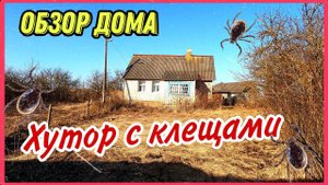 Хутор с клещами за 3 тыс $. Обзор дома и участка. Что продают на Браславских озерах?!