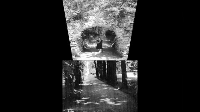 Музей _Архангельское_.   Фотографии 1959 года.