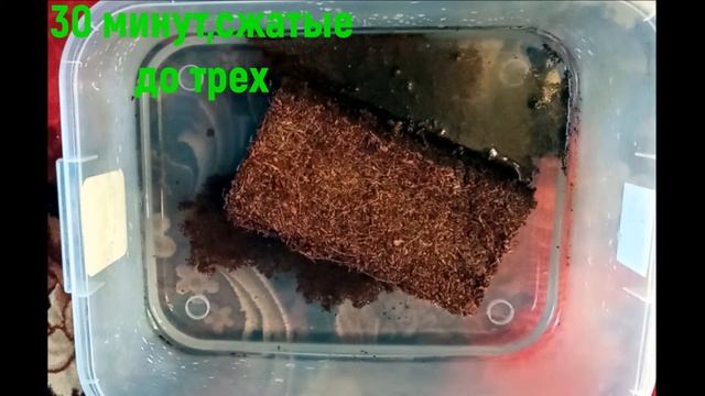 кокосовое волокно (приготовление субстрата) смотреть онлайн