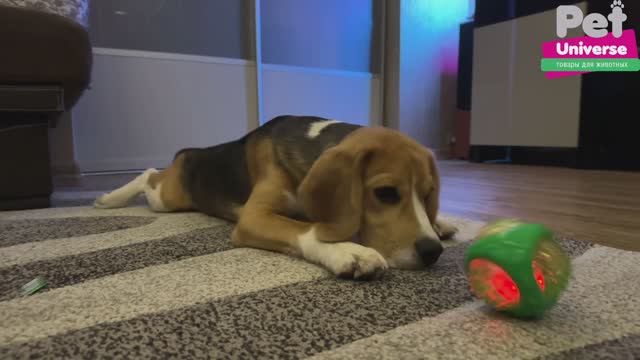 PU3054 Игрушка для собак Pet Universe двухслойный светящийся мячик, диаметр 8 см смотреть онлайн