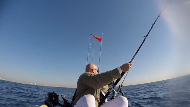Offshore Kayak Fishing Sailfish, King Mackerel and a sea monster ! смотреть онлайн