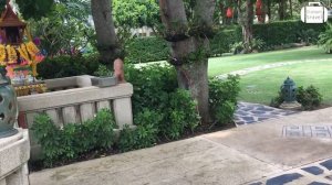 Обзор отеля Angsana Laguna Phuket 5* на Пхукете (Таиланд) от менеджера Discount Travel