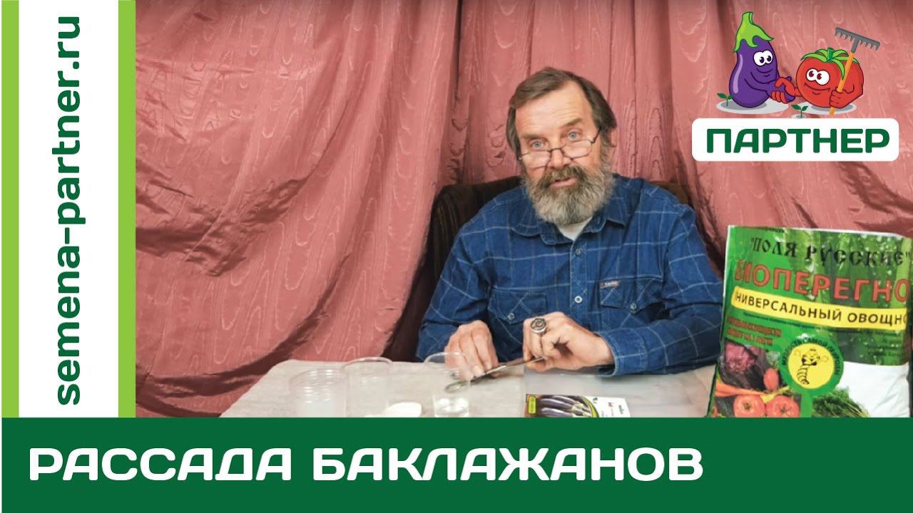ВЫРАЩИВАЕМ РАССАДУ БАКЛАЖАНОВ