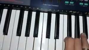 CASIO CA-110