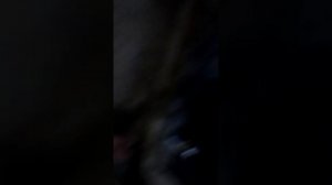 Грейт вол Сейф небольшие колхозные советы