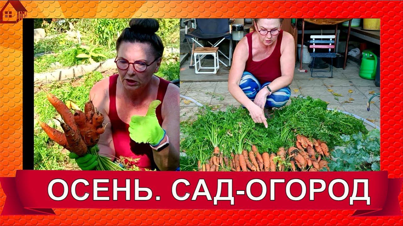 Во саду ли, в огороде/ 25.09.2023/ОСЕНЬ/ Убираю огород, Autumn work in the garden