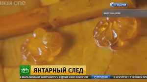 Новая версия местонахождения Янтарной комнаты не убедила история