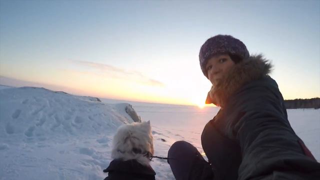 Vlog: ходим бродим по Новосибирску