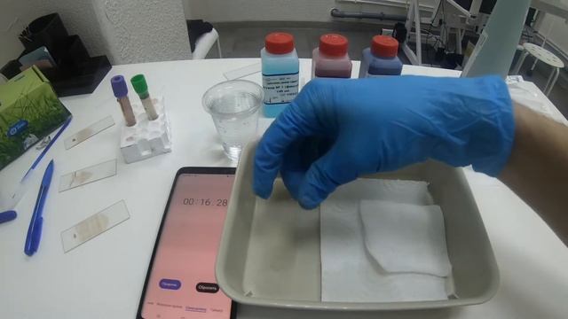 окраска мазков методом дифф - квик ( Diff - quick ) смотреть онлайн