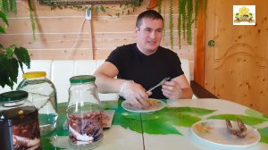 Настойка струи бобра