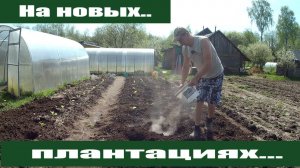 Деревенские будни после  урагана и НОВИНКА - плантация в (наверно) Урожайном огороде!