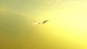 Микроблесны ручной работы. Презентация.