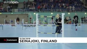 Верхом на игрушечной лошади
