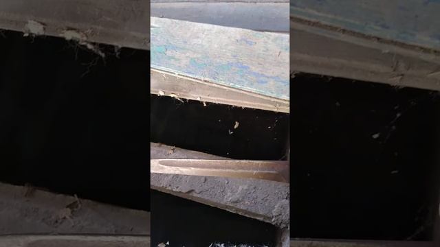 Карточка видео