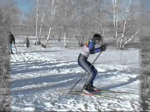 Лыжные гонки