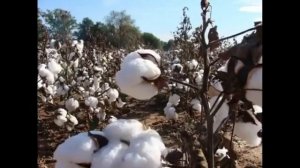 Песня о Таджикистане