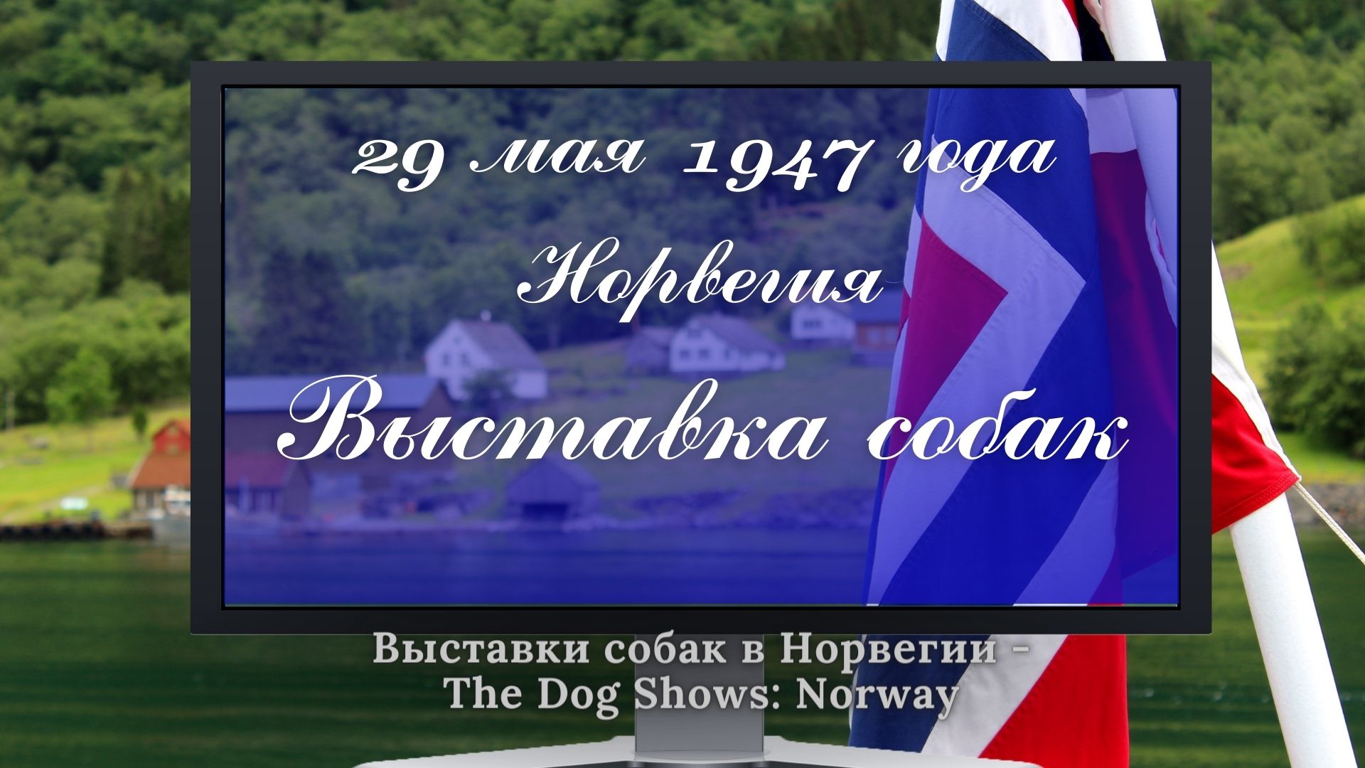 29 мая 1947 года. Выставка собак в Норвегии.