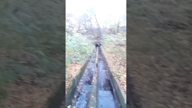 Загадочная труба смотреть онлайн