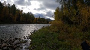 В тайгу за хариусом и ленком золотой осенью . Часть 1.#1.