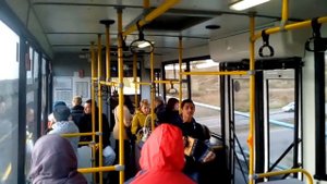 Паренёк с гармошкой поет песни в автобусе Красноярска