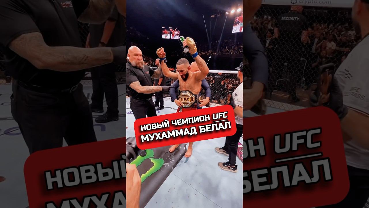 НОВЫЙ ЧЕМПИОН UFC МУХАММАД БЕЛАЛ #мухаммадбелал #юфс #мма #ufc #ufc304 #champion #hype #хайп #бой