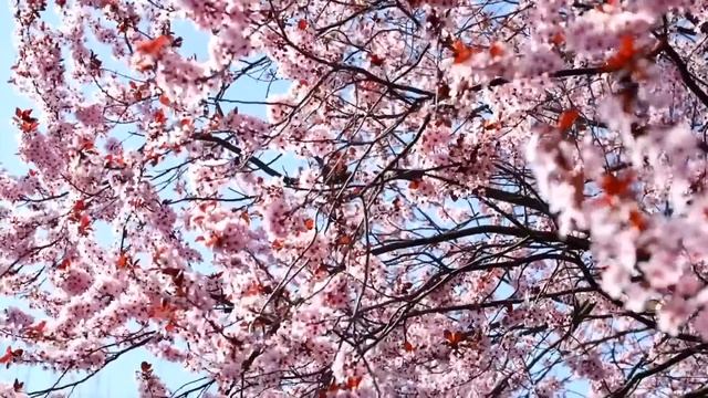 Отчим выгнал малышку на трескучий мороз на верную погибель. Но знай он кто постучит с утра в дверь. смотреть онлайн