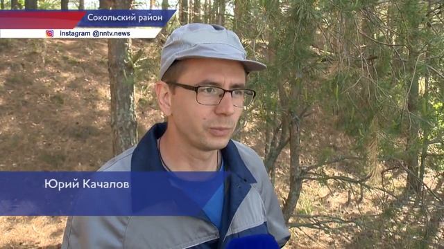 Прошло мероприятие по очистке берегов Горьковского водохранилища в Нижегородской области смотреть онлайн