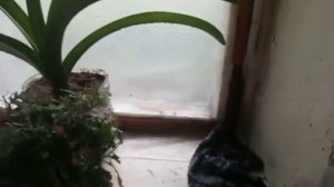 Алтайский край Егорьевский р-он с.Новоегорьевское ул. Молодёжная 34