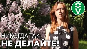 ЭТИ СОВЕТЫ ПОМОГУТ УНИЧТОЖИТЬ ВАШ САД