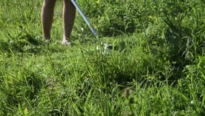 Аккумуляторный триммер Greenworks GD60BCB: обзор и кошение травы