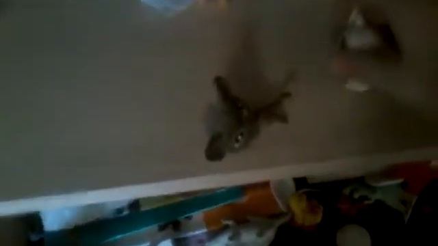 Пушистики сериал школа (годовая олимпиада!) смотреть онлайн